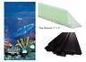 Above Ground Antilles Swimming Pool Overlap Liner with Cove Kit & Coping Strips