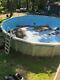 Above Ground Swimming Pool, 5 ft x 27 ft, Mr. B, filter, pump, needs liner only