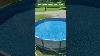 Shorts Top 5 Best Above Ground Pools 2024